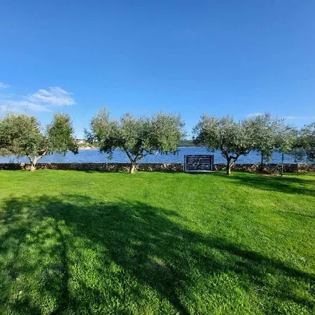 House Ive With Jacuzzi, Pool, Playground And Bbq In An Olive Grove With A Beach, - Istria