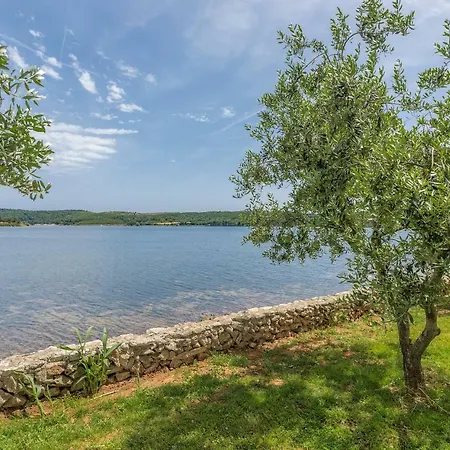 House Ive With Jacuzzi, Pool, Playground And Bbq In An Olive Grove With A Beach, - Istria Ferienhaus